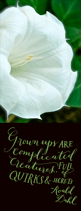 Screen Shot 2018-09-09 at 9.44.52 PM.png