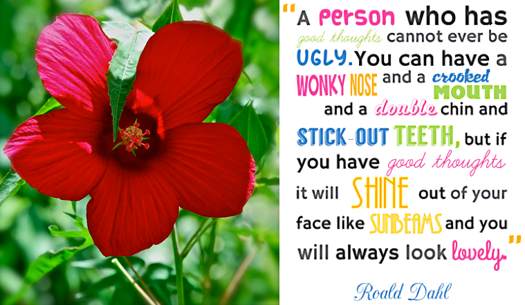 Screen Shot 2018-09-09 at 9.47.46 PM.png