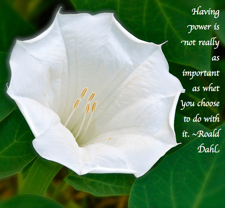 Screen Shot 2018-09-09 at 9.52.41 PM.png