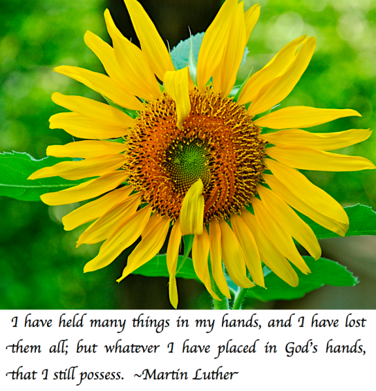 Screen Shot 2018-09-11 at 7.56.13 PM.png