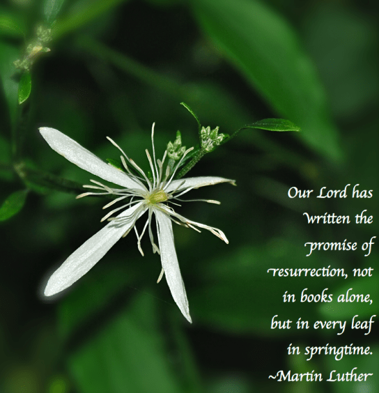 Screen Shot 2018-09-11 at 7.59.49 PM.png