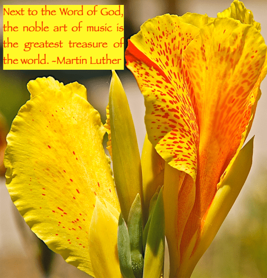 Screen Shot 2018-09-11 at 8.04.54 PM.png