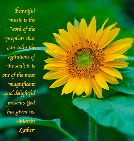 Screen Shot 2018-09-11 at 8.11.22 PM.png