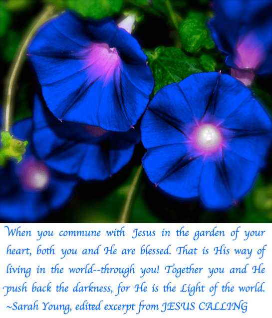 Screen Shot 2018-09-11 at 8.17.01 PM.png