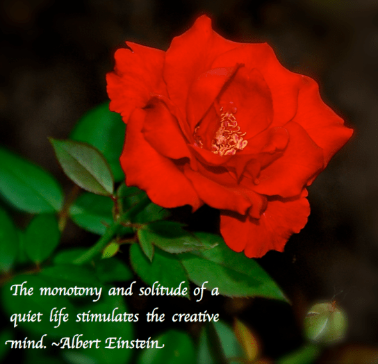 Screen Shot 2018-09-11 at 8.29.36 PM.png