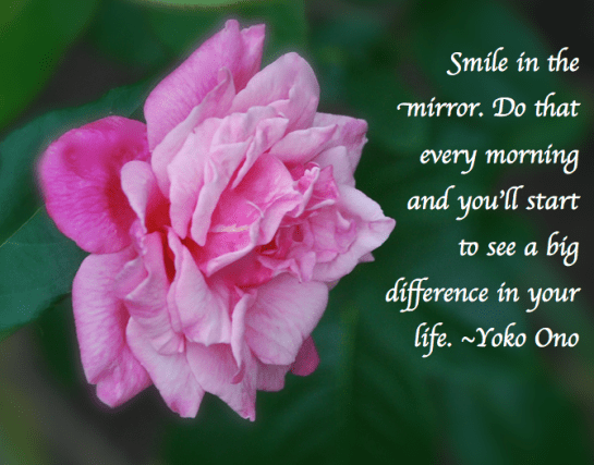 Screen Shot 2018-09-11 at 8.33.14 PM.png