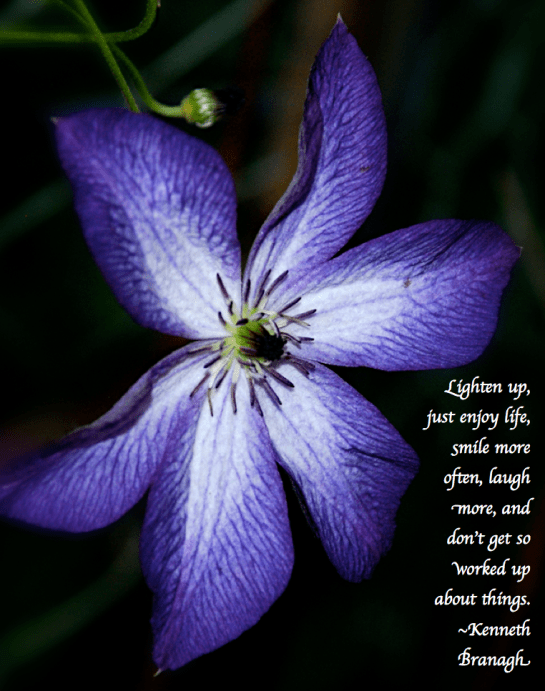 Screen Shot 2018-09-11 at 8.38.07 PM.png