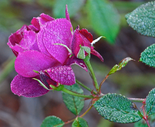 Screen Shot 2018-09-13 at 10.01.39 PM.png