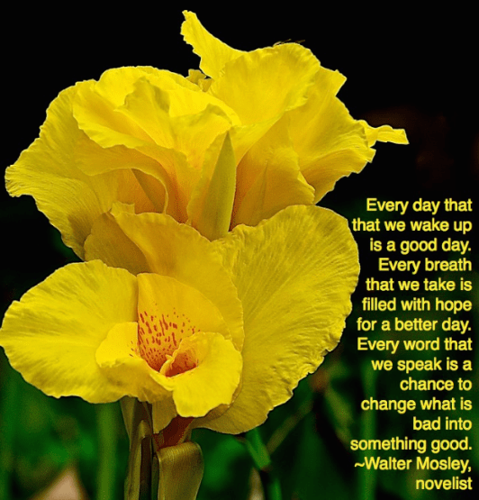 Screen Shot 2018-09-14 at 10.14.35 PM.png