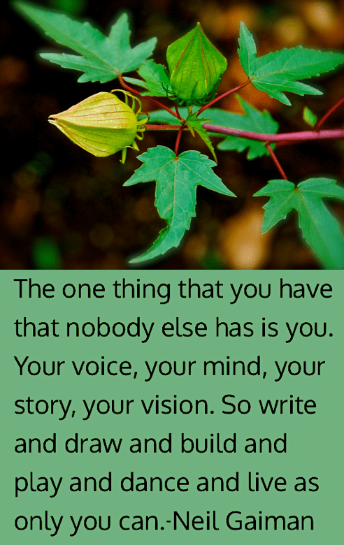 Screen Shot 2018-09-14 at 10.35.09 PM.png