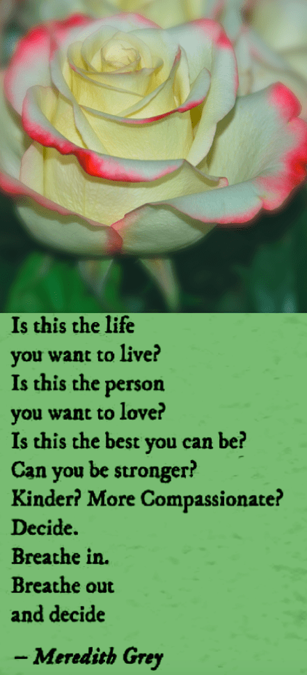 Screen Shot 2018-09-14 at 10.44.47 PM.png