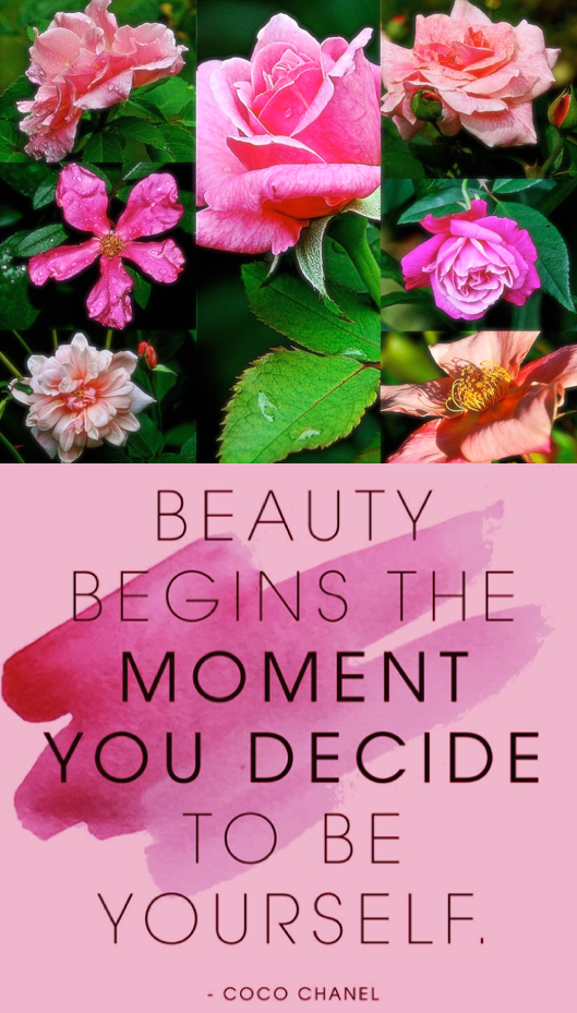 Screen Shot 2018-09-15 at 9.33.55 PM.png