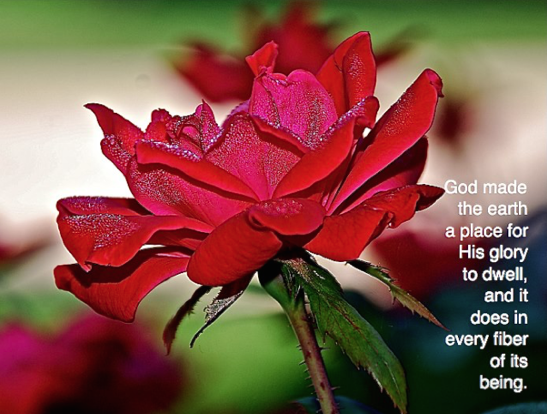 Screen Shot 2018-09-15 at 9.35.38 PM.png