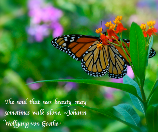 Screen Shot 2018-09-15 at 9.40.57 PM.png