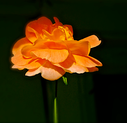 Screen Shot 2018-09-18 at 1.02.59 PM.png