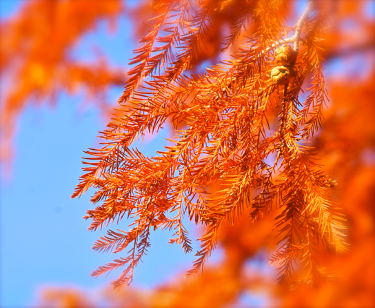 Screen Shot 2018-09-18 at 12.48.09 PM.png