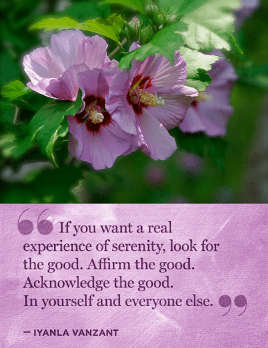 Screen Shot 2018-09-18 at 9.14.07 PM.png