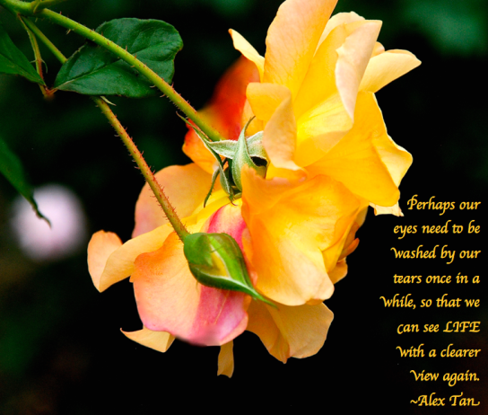 Screen Shot 2018-09-18 at 9.20.03 PM.png