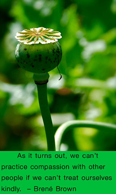 Screen Shot 2018-09-18 at 9.30.02 PM.png