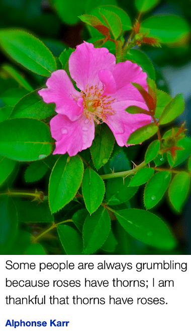 Screen Shot 2018-09-20 at 9.32.13 PM.png