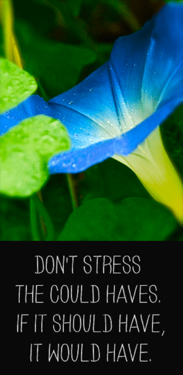 Screen Shot 2018-09-20 at 9.35.25 PM.png