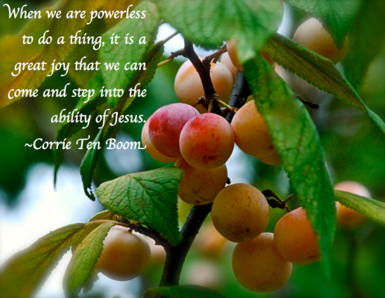 Screen Shot 2018-09-20 at 9.39.24 PM.png