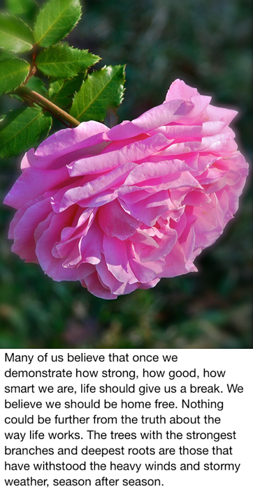 Screen Shot 2018-09-22 at 10.13.55 PM.png