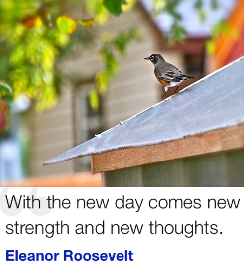 Screen Shot 2018-09-22 at 9.23.22 PM.png