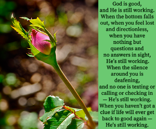 Screen Shot 2018-09-22 at 9.28.39 PM.png