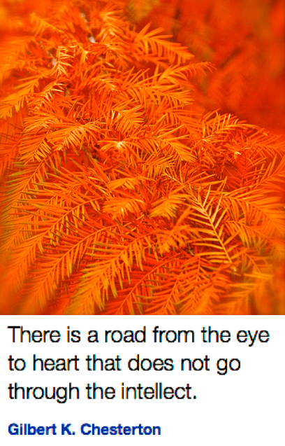 Screen Shot 2018-09-24 at 10.08.51 PM.png