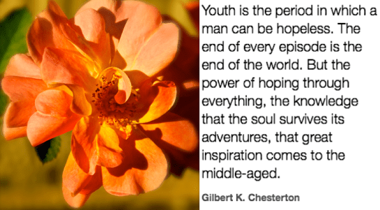 Screen Shot 2018-09-24 at 10.15.58 PM.png