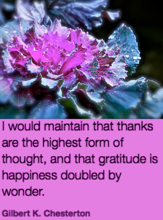 Screen Shot 2018-09-24 at 10.26.46 PM.png