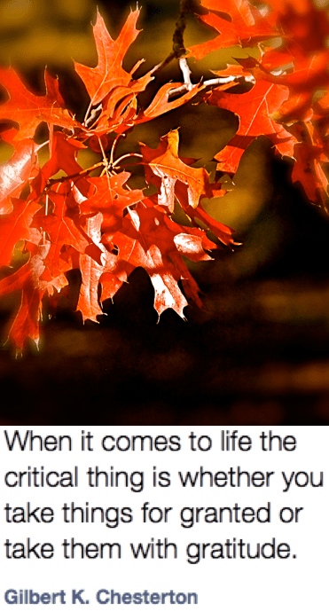 Screen Shot 2018-09-24 at 10.30.05 PM.png