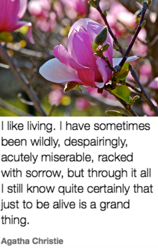 Screen Shot 2018-09-24 at 10.40.37 PM.png