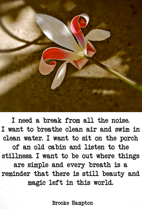 Screen Shot 2018-09-28 at 10.02.54 PM.png