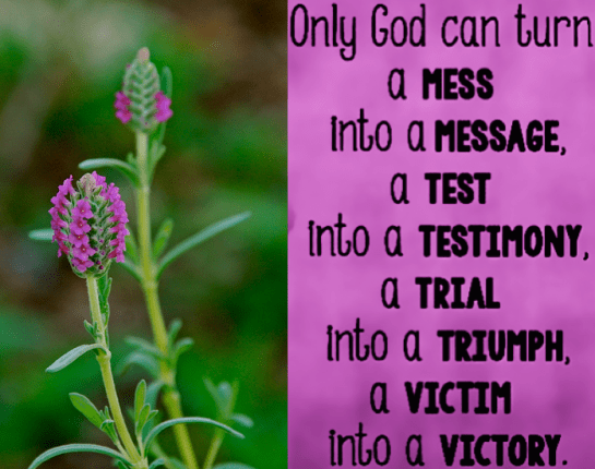 Screen Shot 2018-09-28 at 10.09.13 PM.png