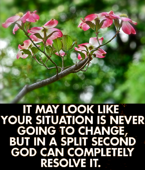 Screen Shot 2018-09-28 at 10.20.42 PM.png