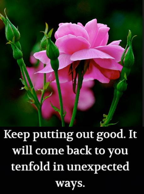 Screen Shot 2018-09-28 at 10.24.04 PM.png