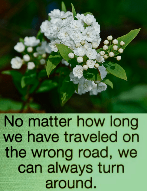 Screen Shot 2018-09-28 at 10.25.26 PM.png