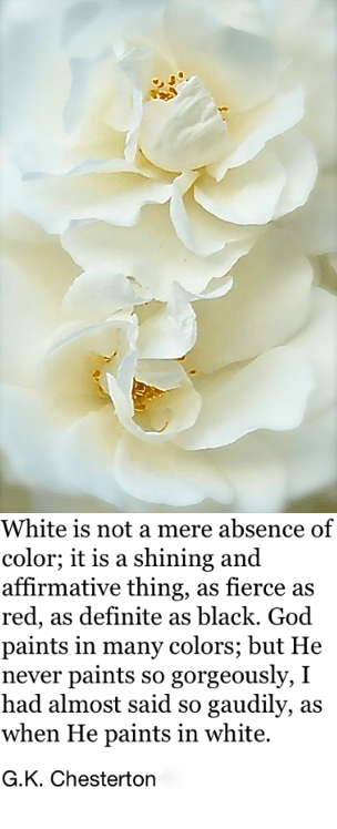 Screen Shot 2018-09-28 at 2.08.49 PM.png