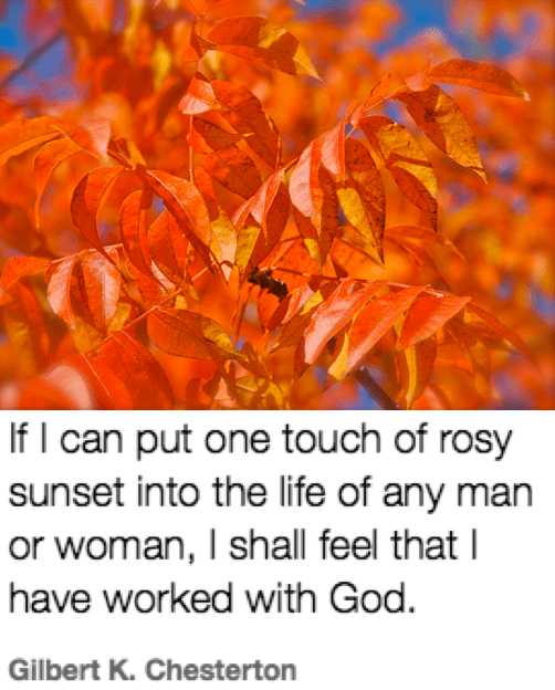 Screen Shot 2018-09-28 at 9.51.36 PM.png