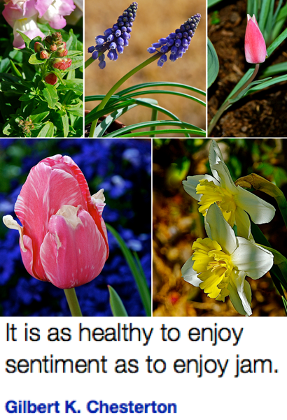 Screen Shot 2018-09-28 at 9.52.50 PM.png