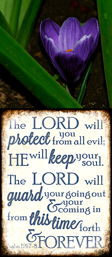 Screen Shot 2018-09-29 at 10.33.24 PM.png