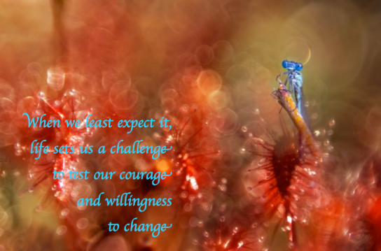 Screen Shot 2018-10-01 at 10.01.34 PM.png