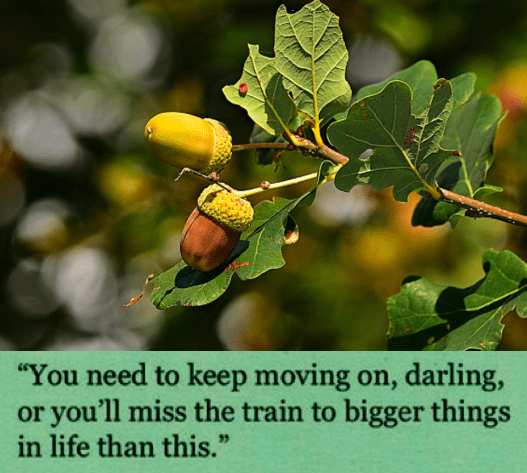 Screen Shot 2018-10-01 at 10.07.31 PM.png