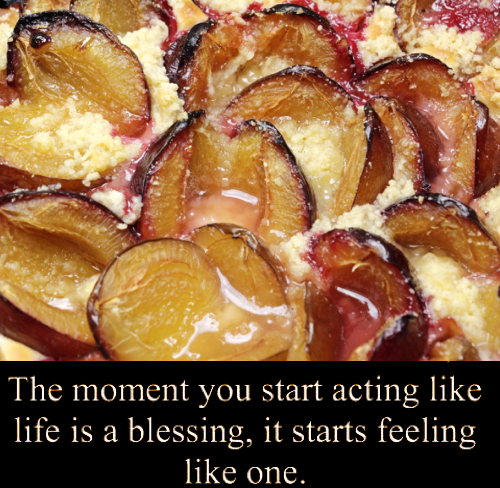 Screen Shot 2018-10-01 at 10.12.52 PM.png