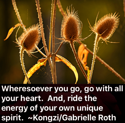 Screen Shot 2018-10-01 at 10.16.48 PM.png