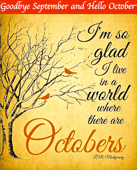 Screen Shot 2018-10-01 at 9.55.25 PM.png