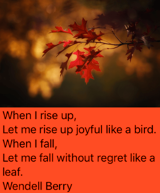 Screen Shot 2018-10-01 at 9.57.43 PM.png