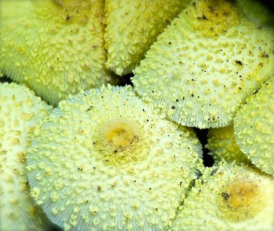 Screen Shot 2018-10-03 at 10.15.52 PM.png